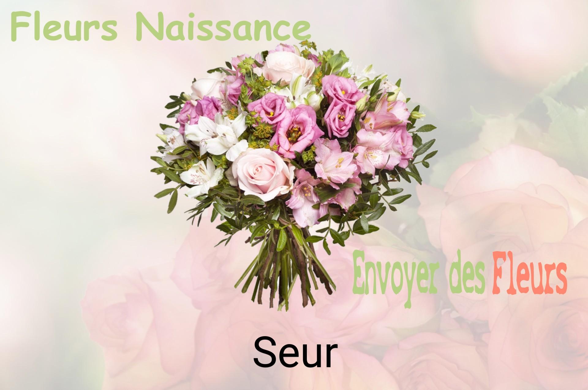 Bouquet de fleurs de naissance livré à Seur